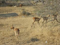 Suedafrika (118)